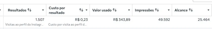 Resultados de campanha: 1.507 visitas ao perfil do Instagram, custo de R$0,23 por visita, R$343,89 investidos, 49.592 impressões, alcance de 25.464 pessoas